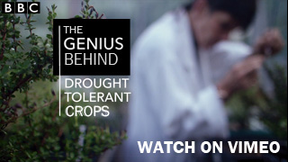 BBC The Genius Behind Drought Tolerant Crops - Watch on Vimeo