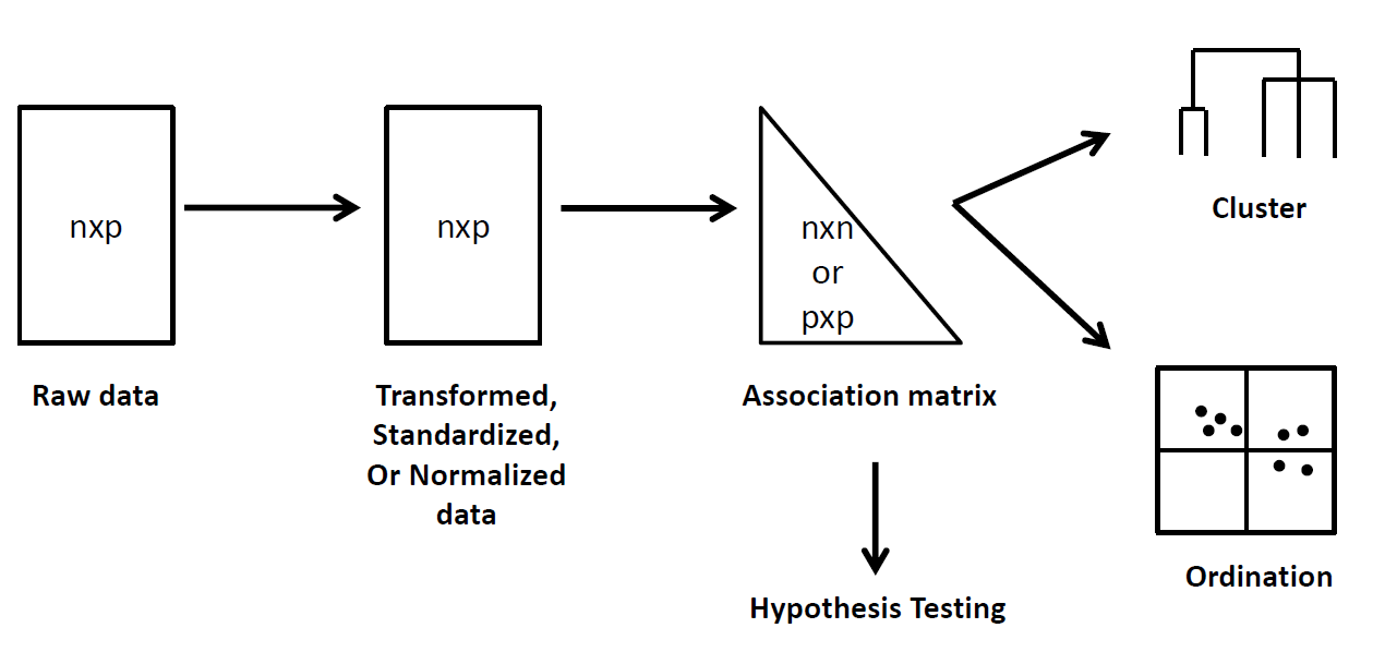 Introduction to multivariate analyses