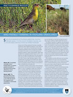 PFIAO. 2012. News from the Percy FitzPatrick Institute. Bird-friendly farming in highland grasslands. Africa Birds & Birding 17(1):22.
