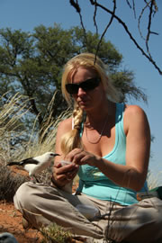 IMAGE: Dr Mandy Ridley with one of the habituated babblers (Photo: Alex Thompson).