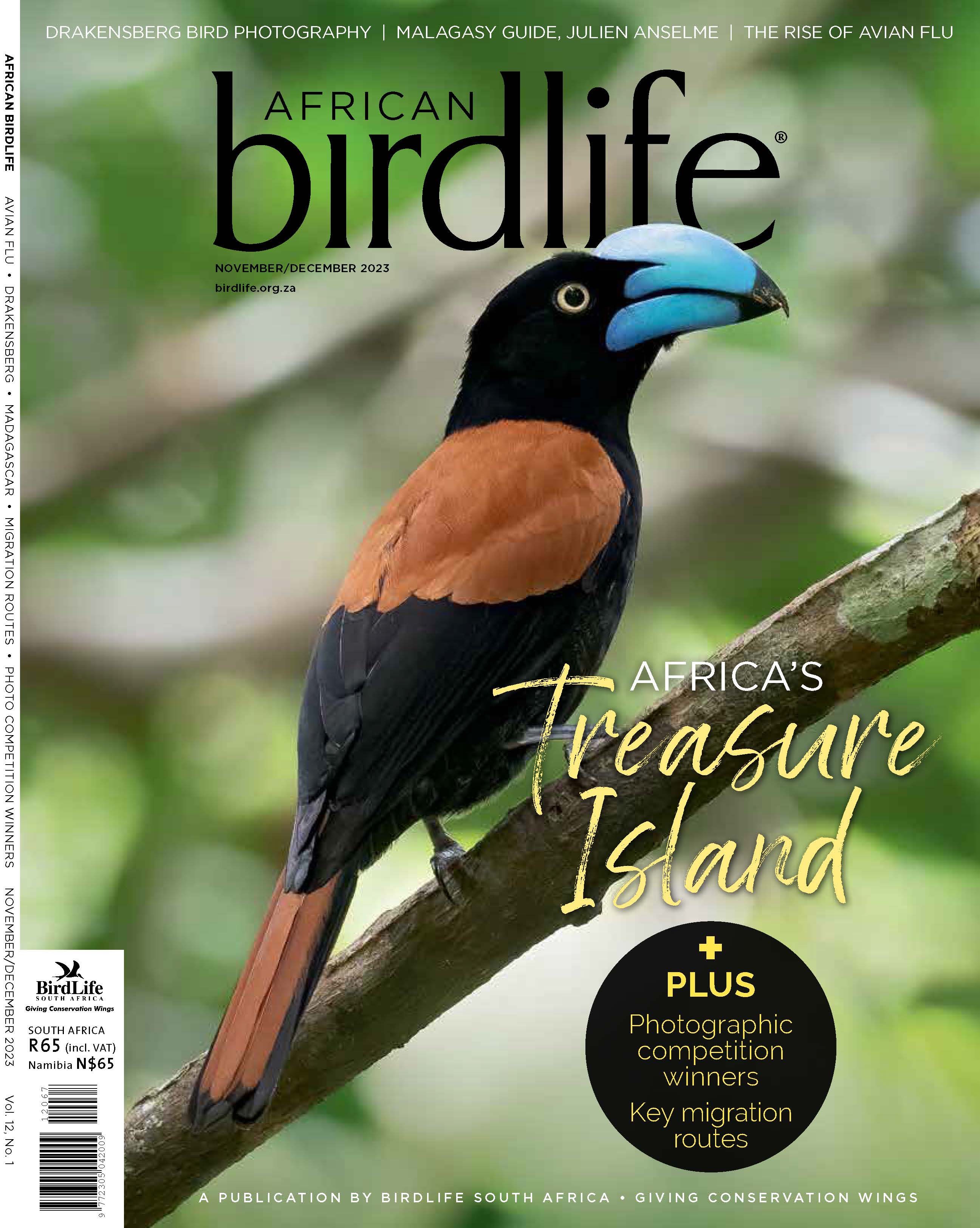 Cover of African Birdlife vol.12(1)