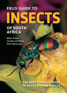 Insect_newcover