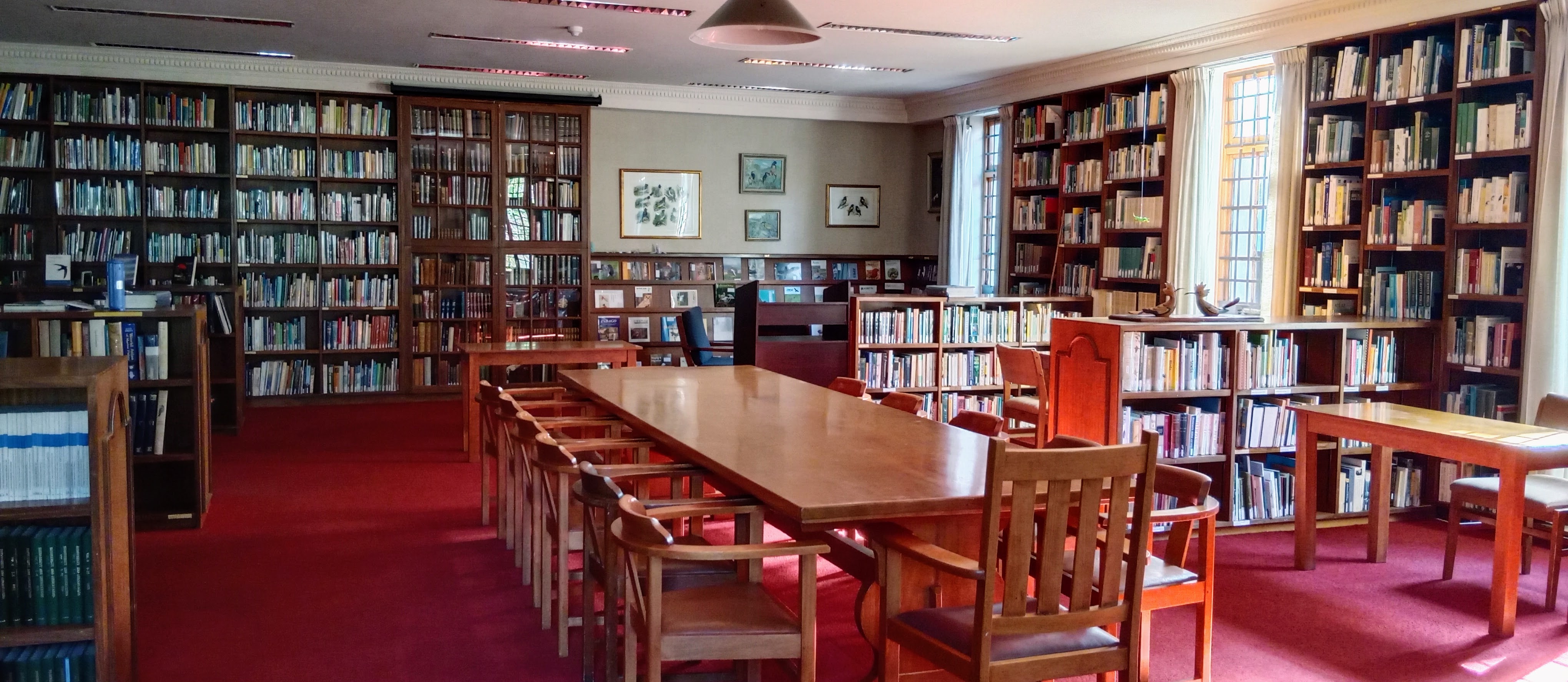 library reading room