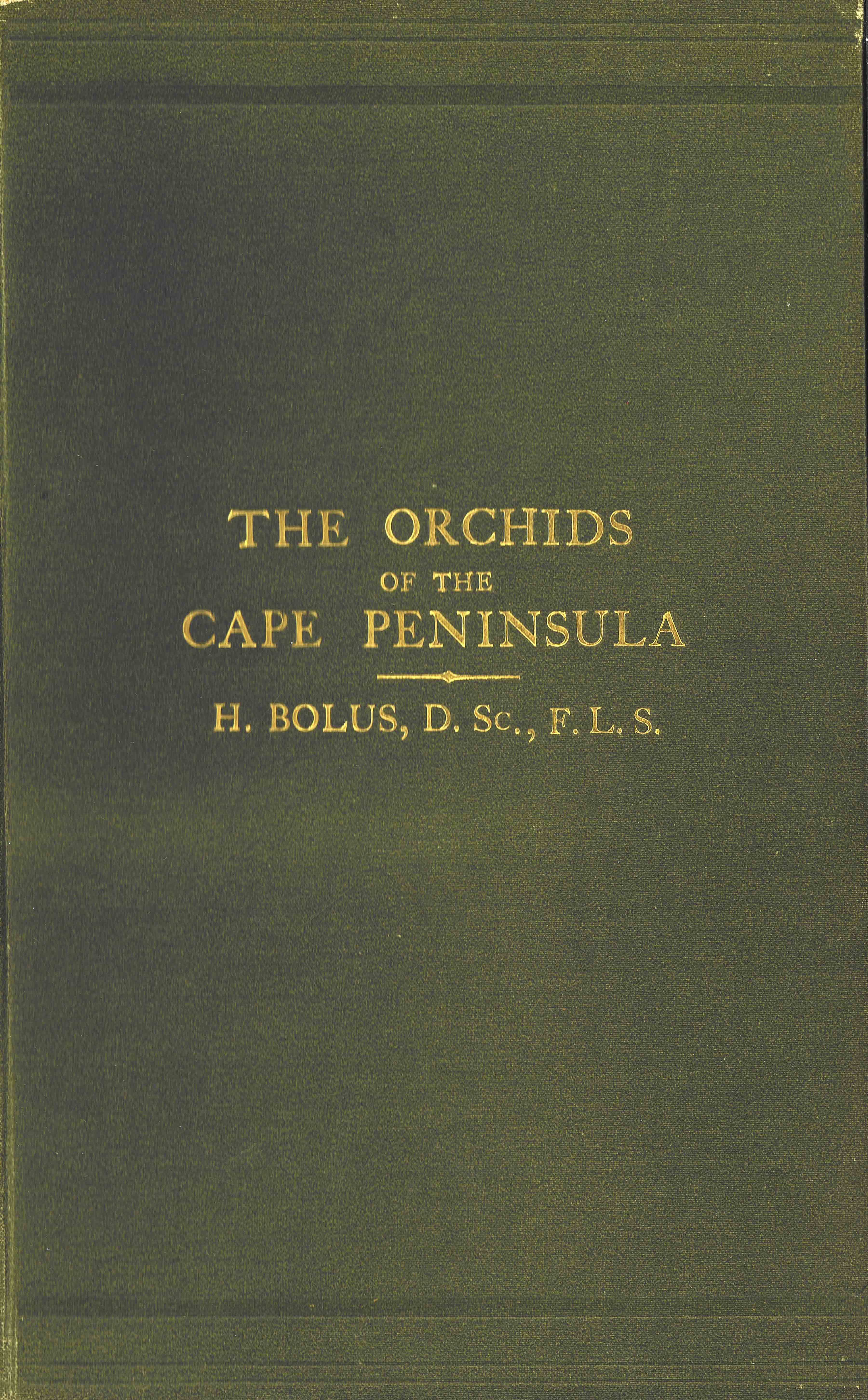 Book cover: Orchids Cape Peninsula