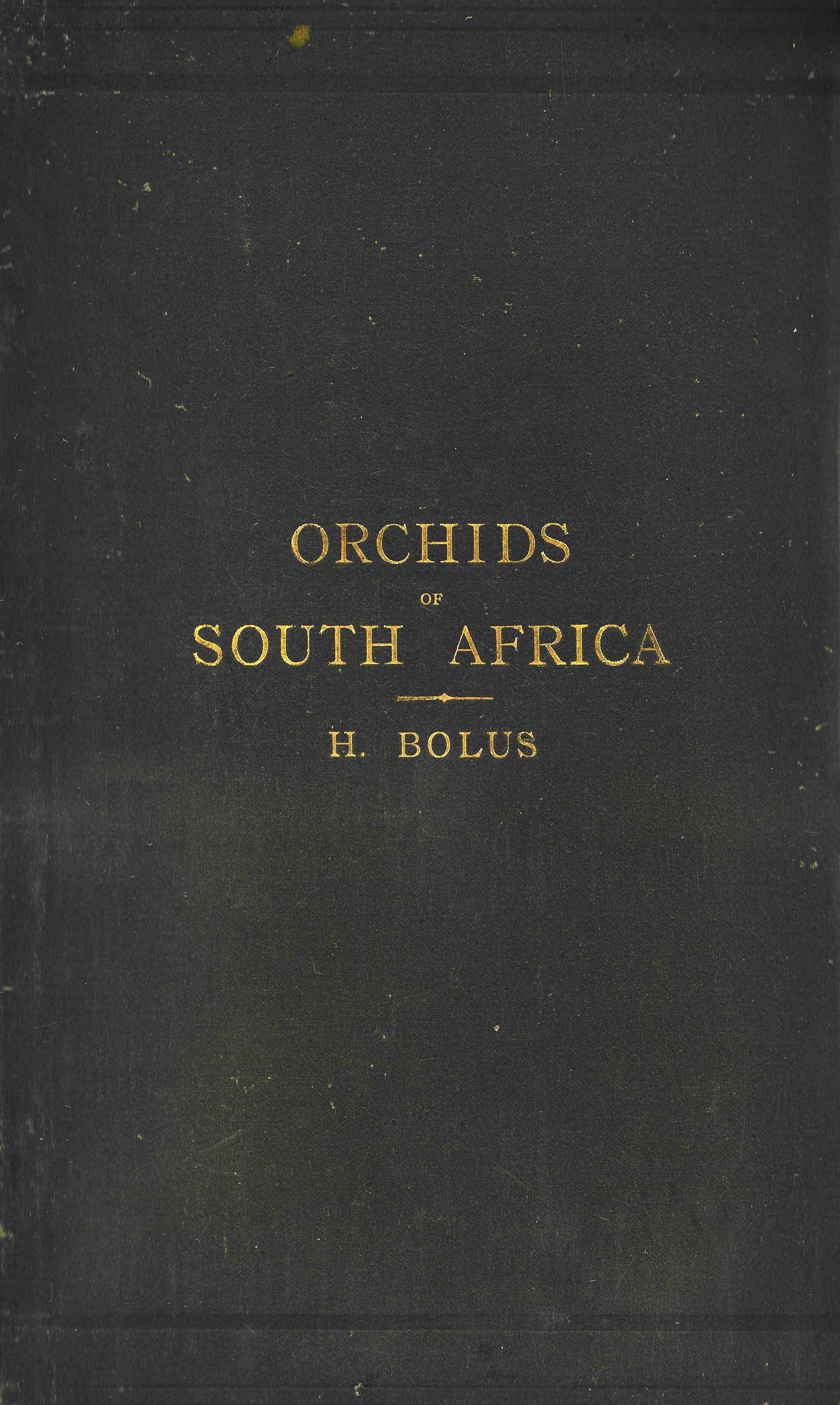 Book cover: Orchids of South Africa