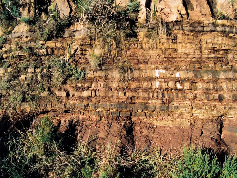 graafwater_fm_outcrop_800