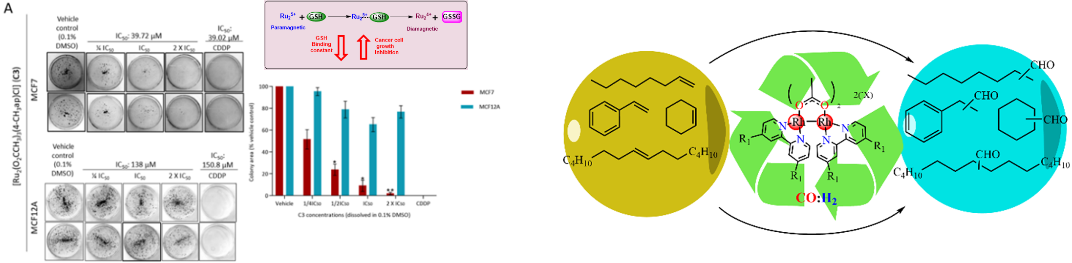 Graphs and reaction pathways demonstratring research outcomes