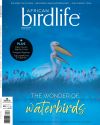 AB1(4)Cover2