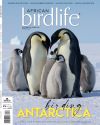AB12(6)Cover
