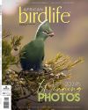 AB13(1)Cover