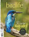 AB13(3)Cover