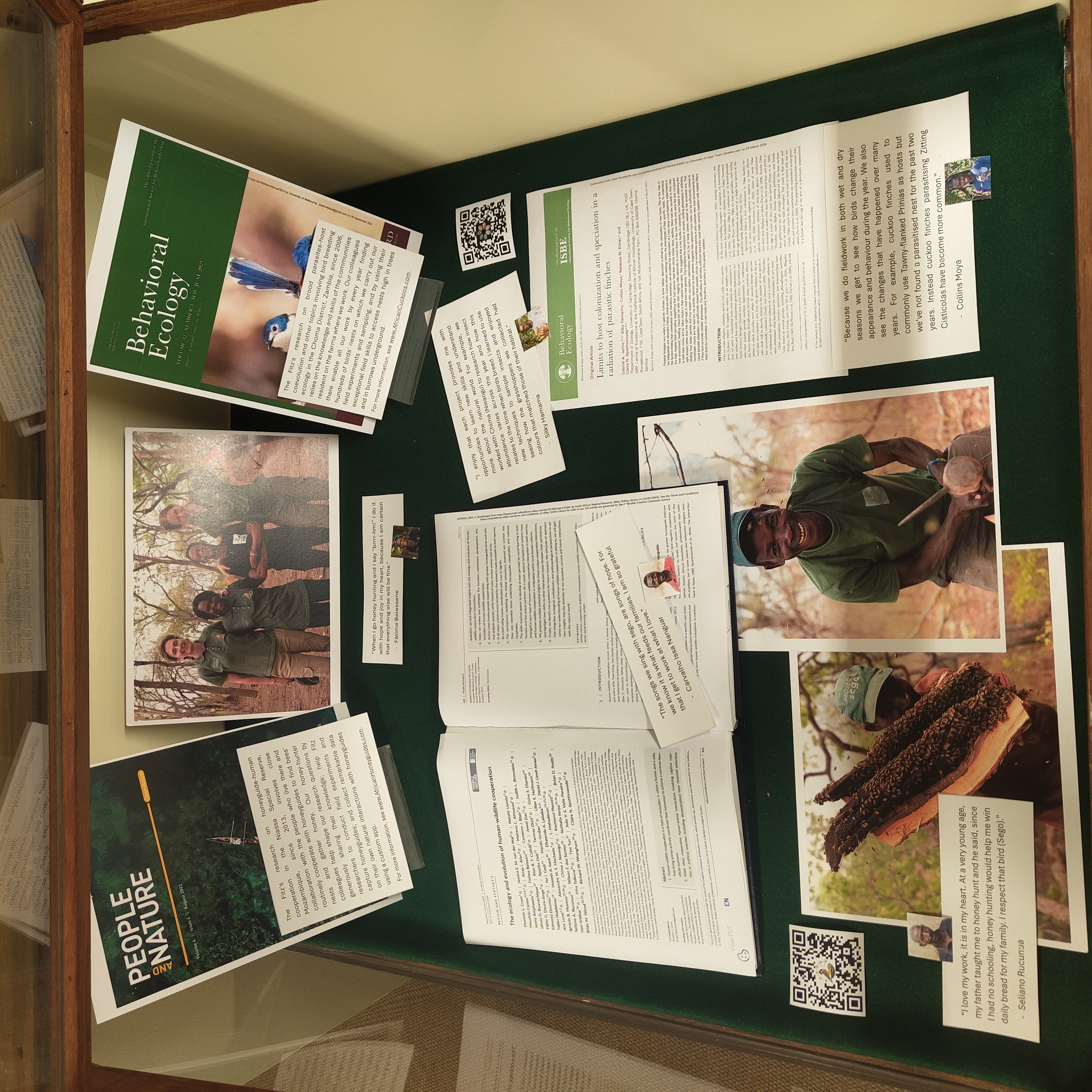 Field Assistants at the Fitz - Display case 1