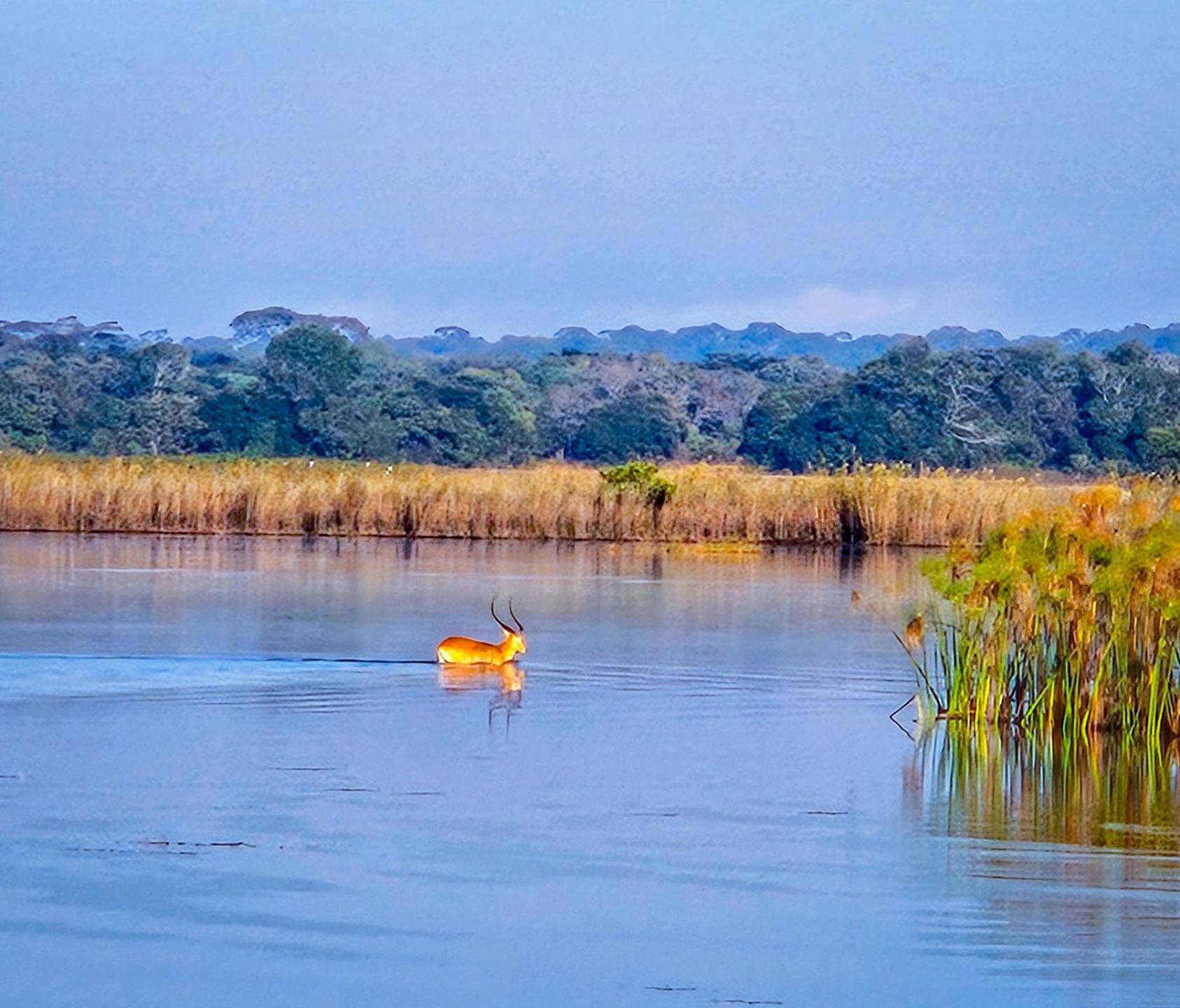 Lake Shiwa N'gandu