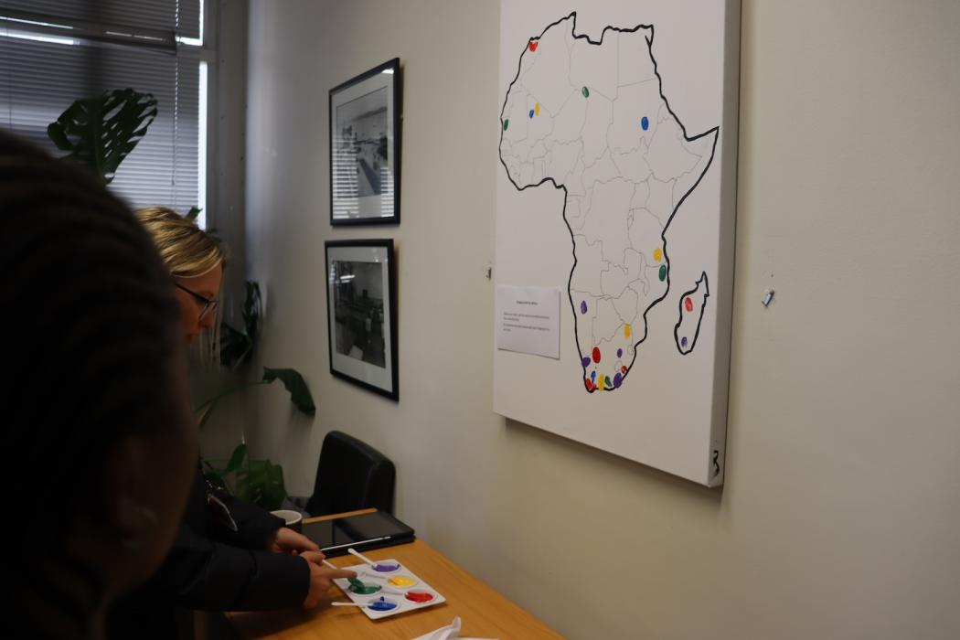 An outline of Afrika on a white canvas that is hung up on the wall with six colours paint on the table for students to show where in Afrika they come from.