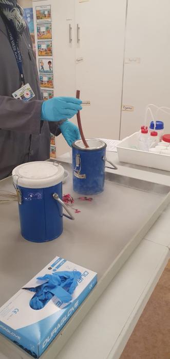 Preschoolers Enjoy Hands-On Chemistry Fun at UCT Educare