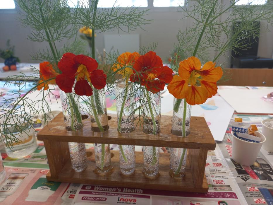 A wooden rack holding five small glass vials, each containing water and a single blooming flower, with a table covered in newspaper in the background.