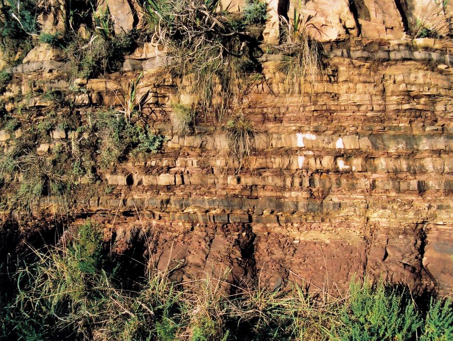 graafwater_fm_outcrop