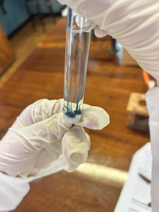 Interactive School Lab Session 2025