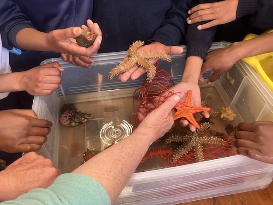 Bringing Science to Life for Learners