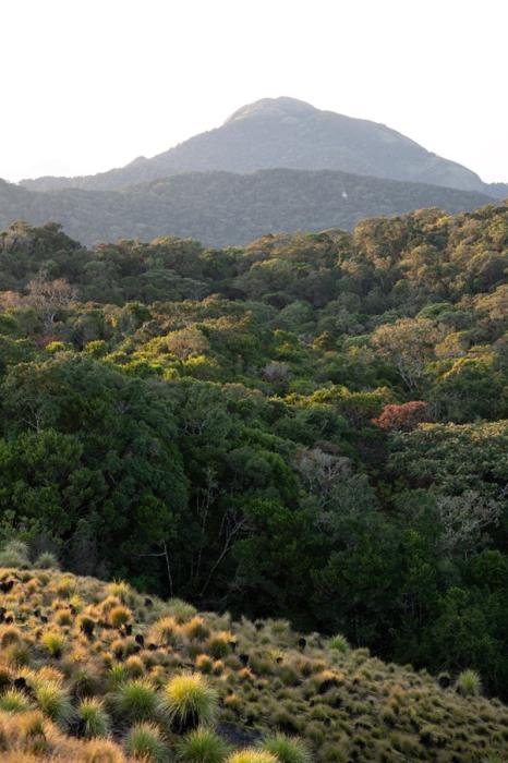 Mount Mabu