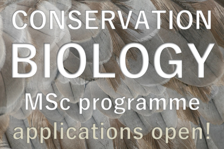 CB MSc applications open!