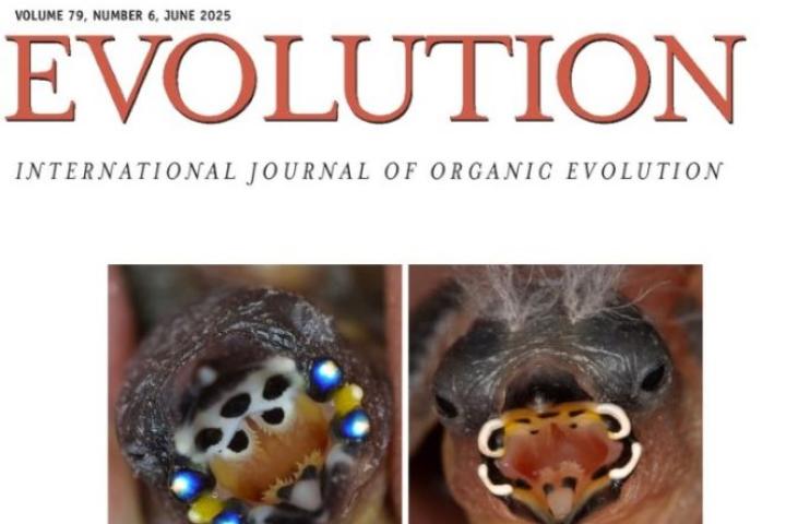 Part of cover of journal, Evolution, June 2025