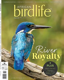 AB13(3)Cover_include