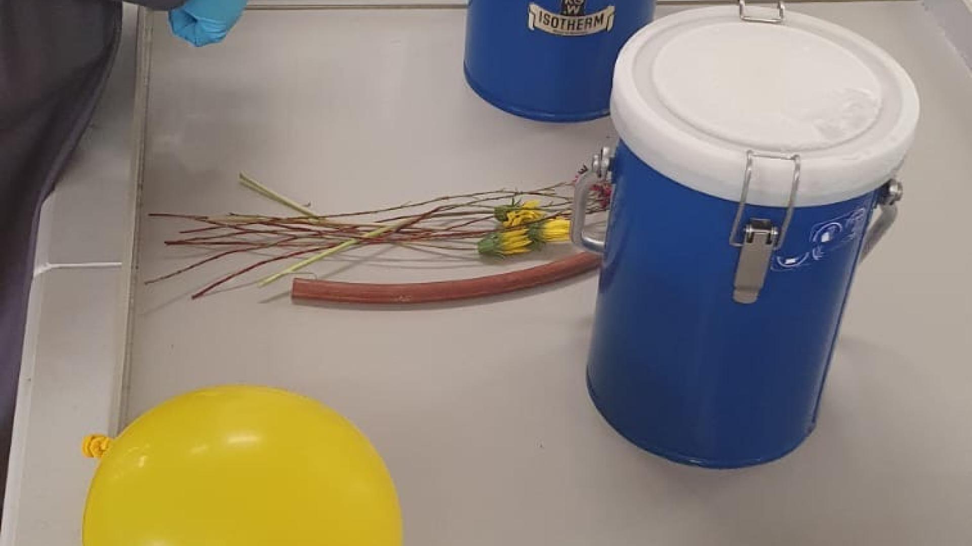 Preschoolers Enjoy Hands-On Chemistry Fun at UCT Educare