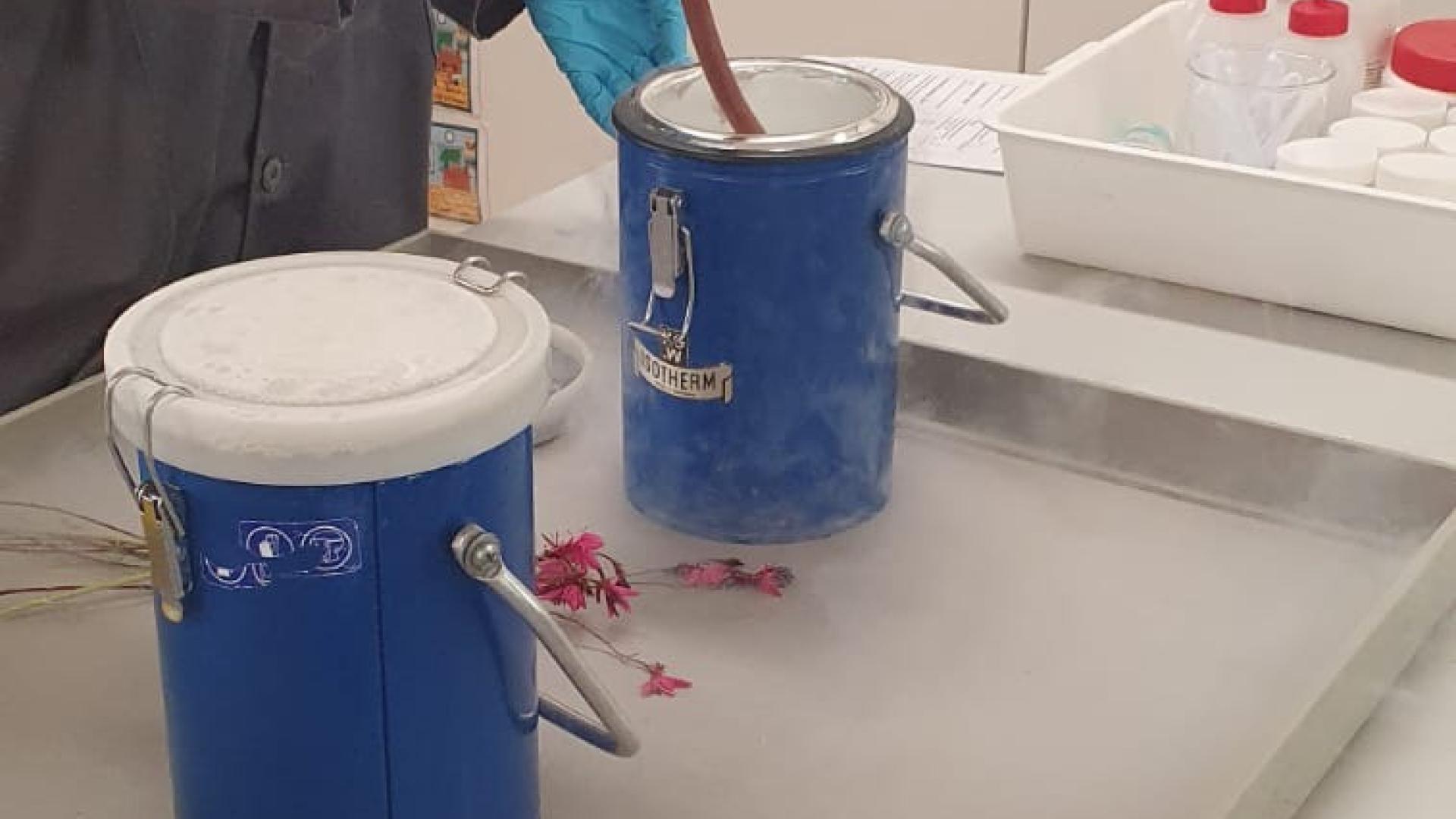 Preschoolers Enjoy Hands-On Chemistry Fun at UCT Educare