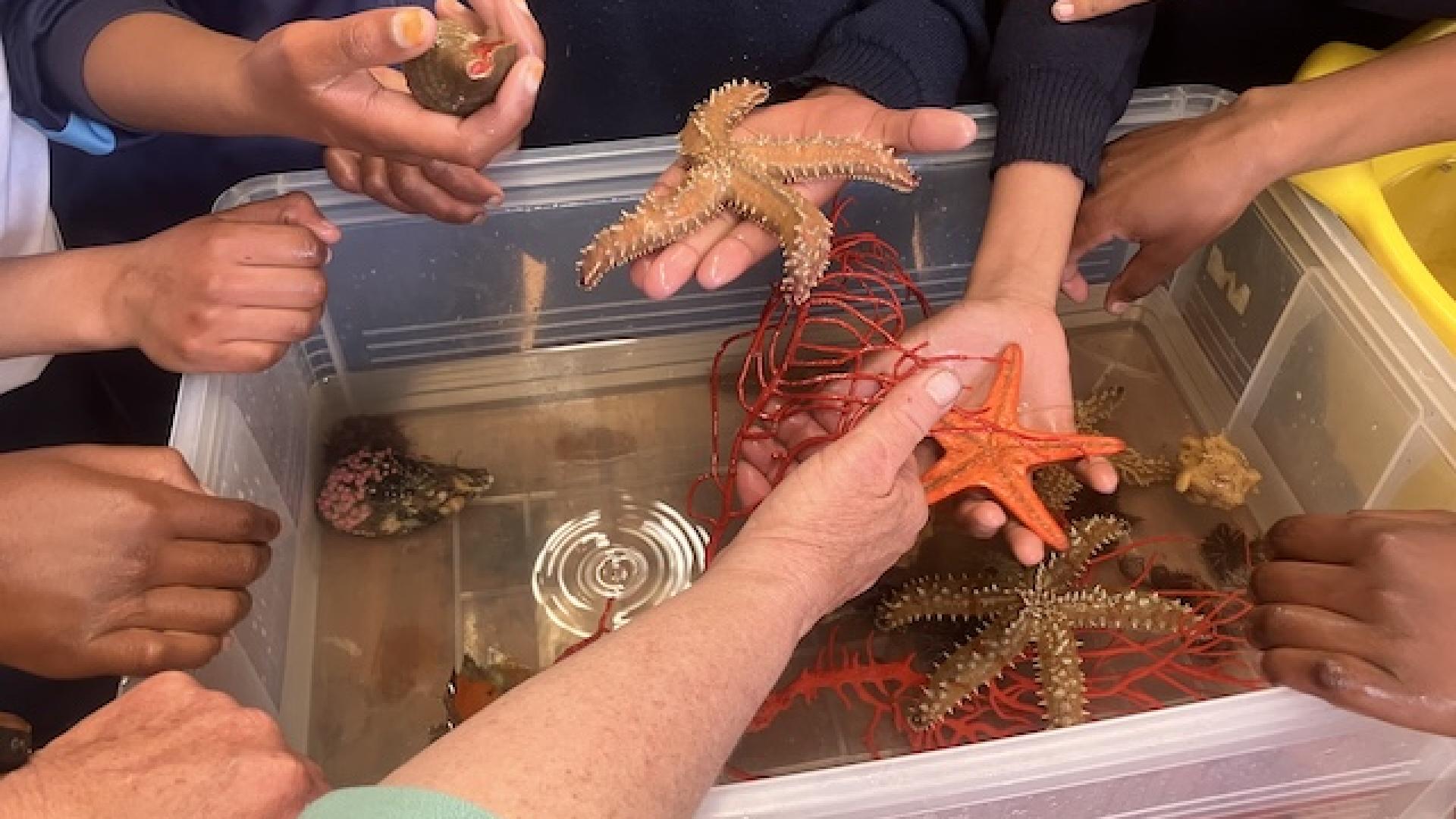 Bringing Science to Life for Learners