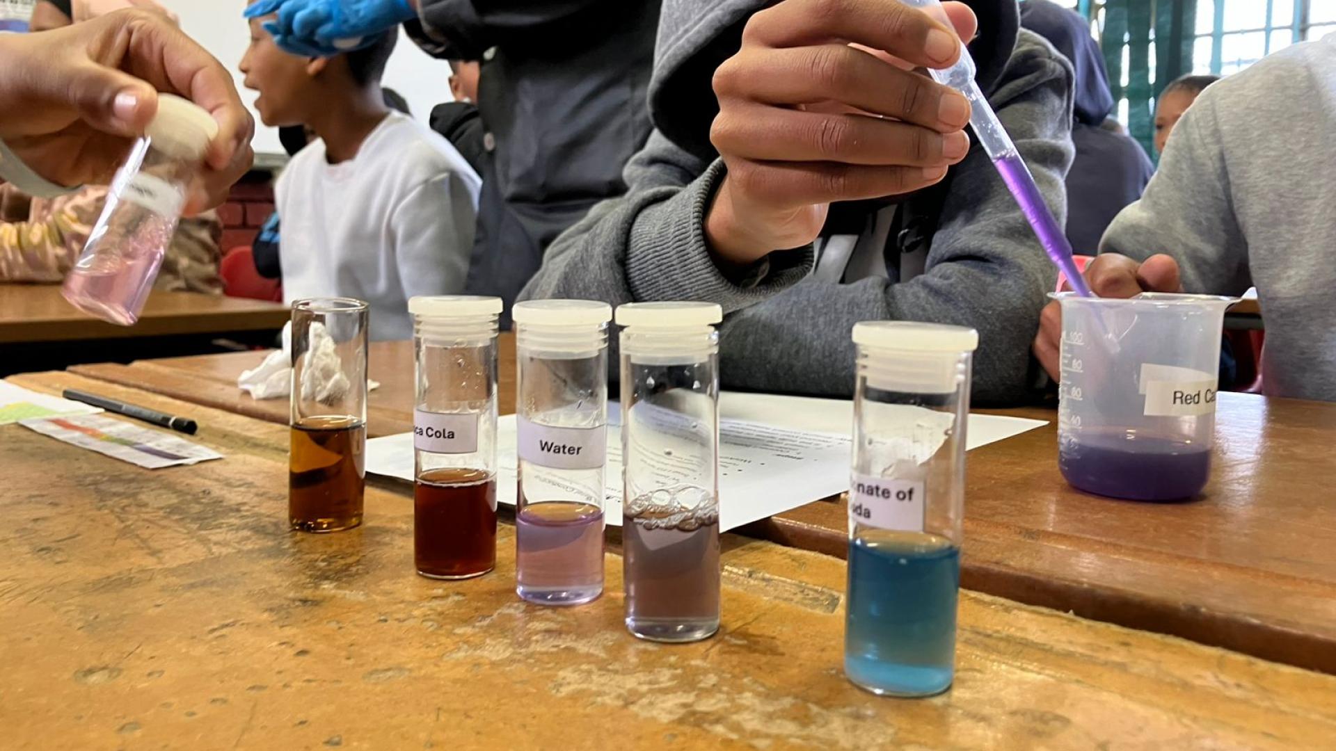 Dietrich Moravian Primary School visit by UCT Chemists
