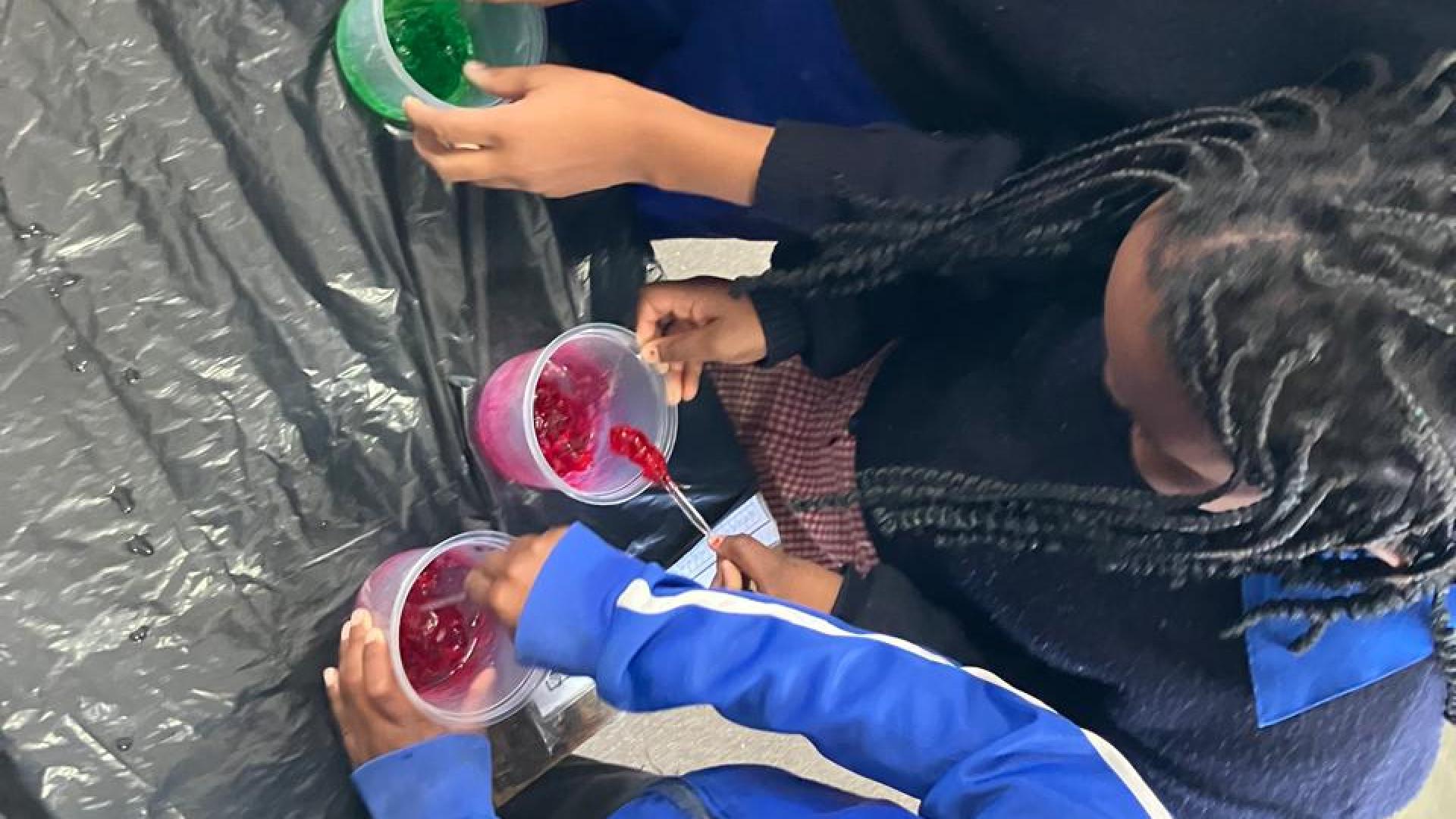 Eastville Primay School visit by UCT Chemistry