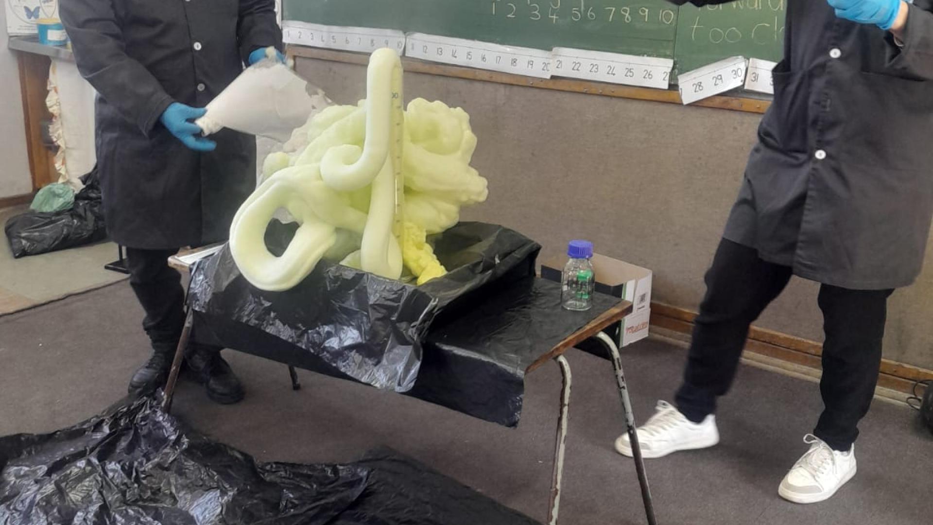 Eastville Primay School visit by UCT Chemistry