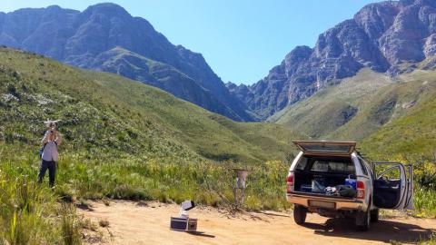 2022-02-14_fynbos.jpg