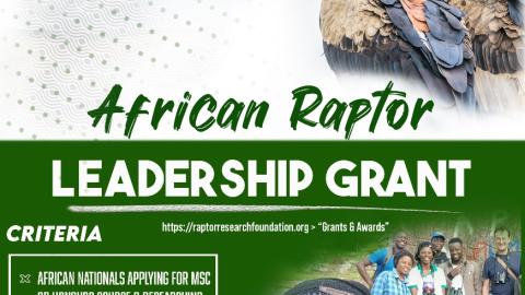 African Raptor Leadership Grant call 2025
