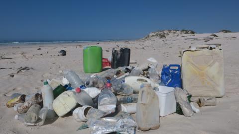 plastic bottles on a beach