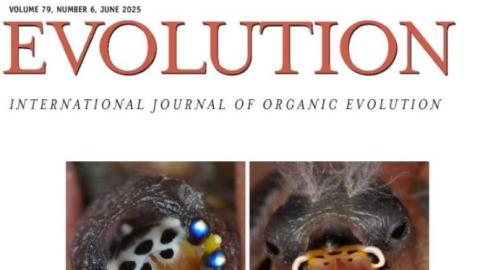 Part of cover of journal, Evolution, June 2025