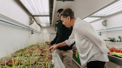 Jill Farrant in plant lab