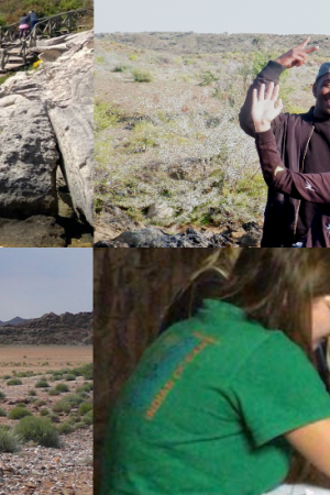 about-us-collage.png