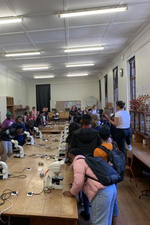 OWeek25