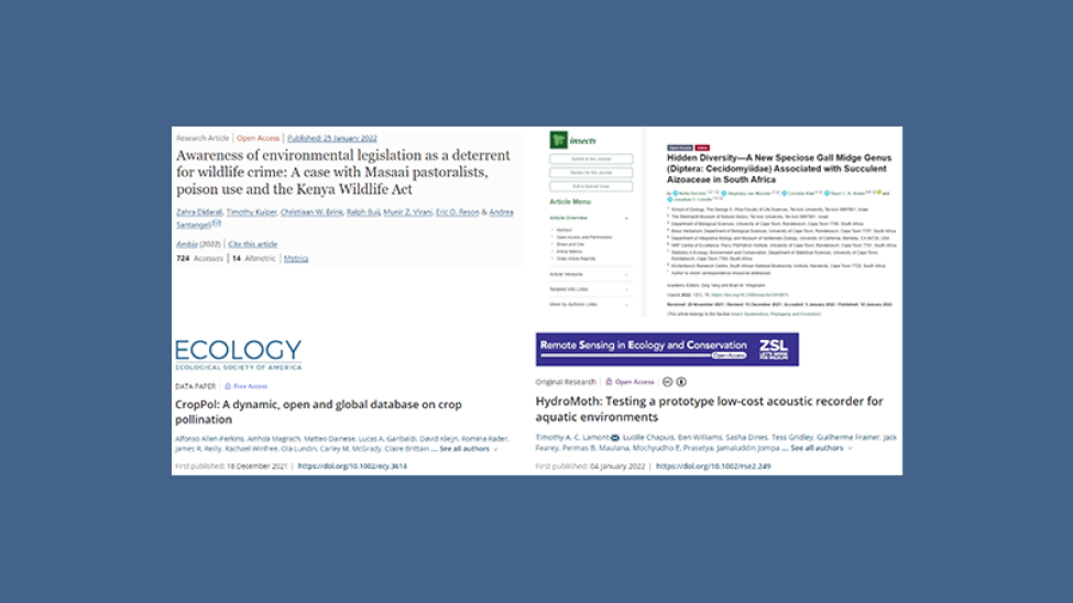Publications