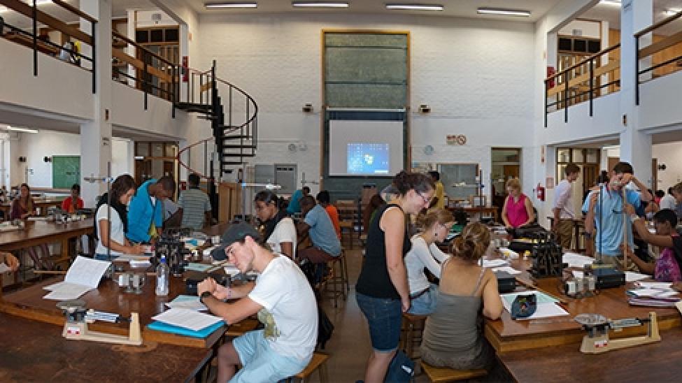 education-banner-df.jpg