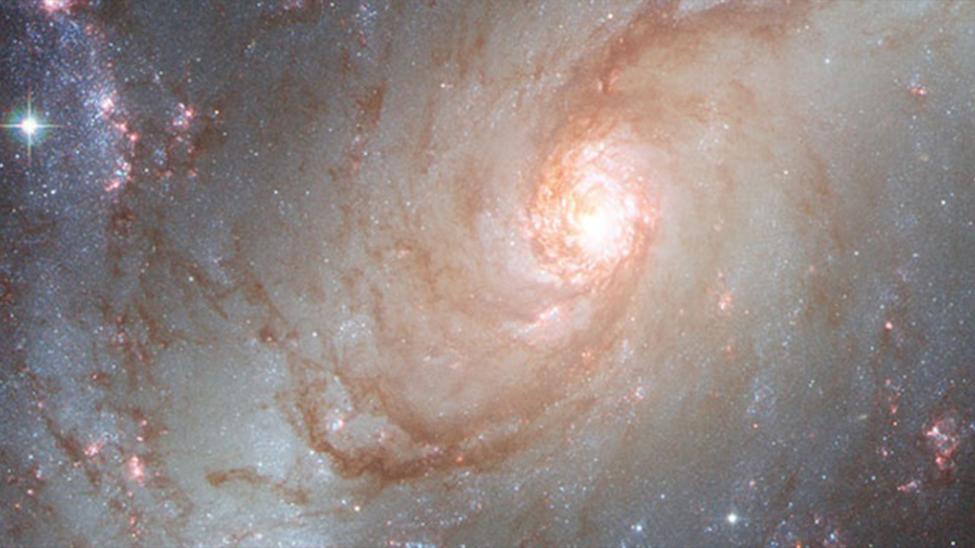 s8