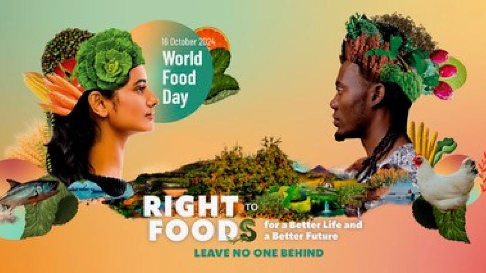 world food day
