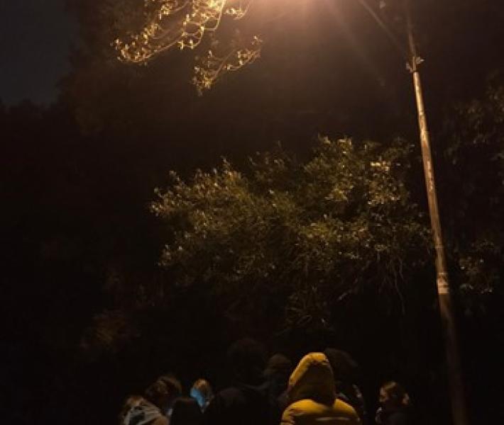 Pondering night ecologies