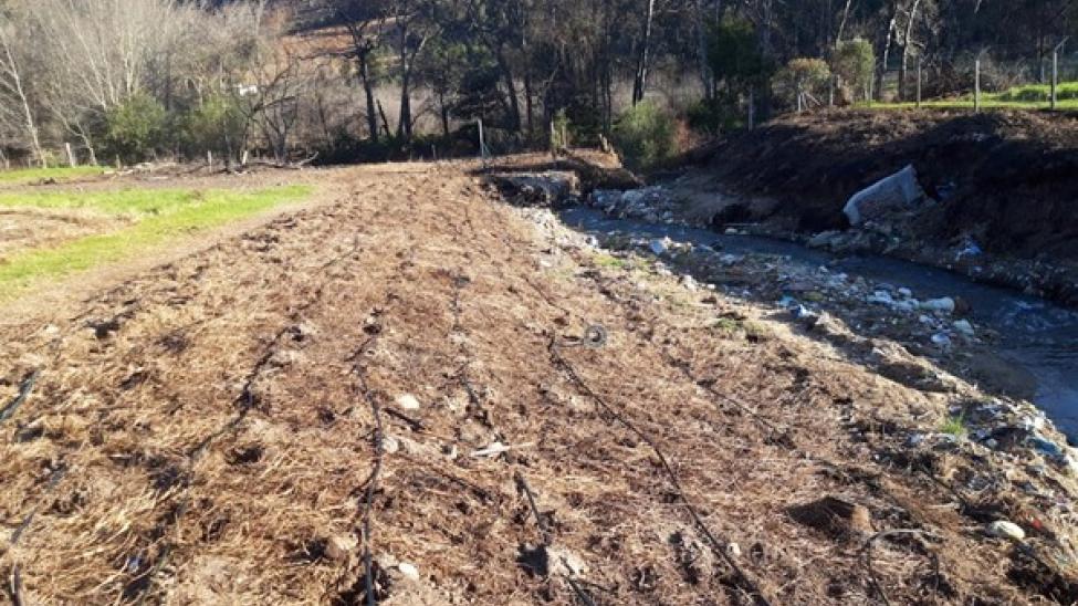 River Restoration