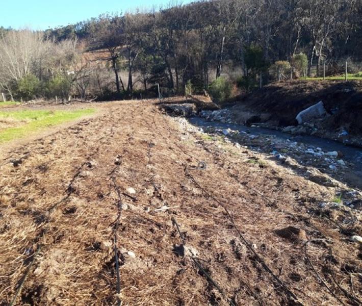 River Restoration