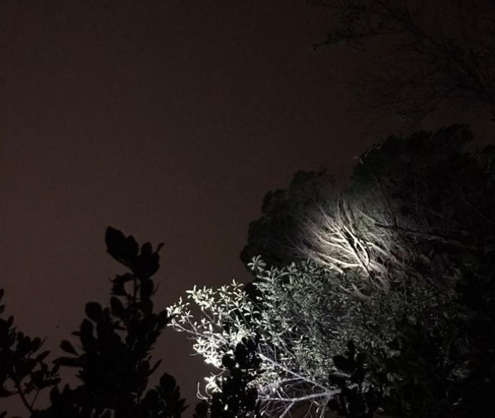 Use of powerful flashlights for exploration