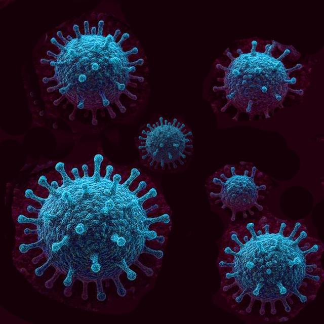Viruses