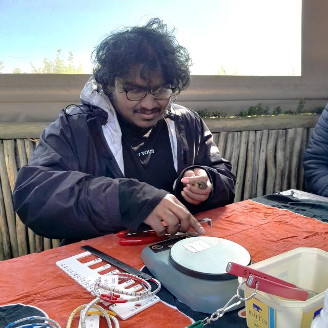 Koi Pillay